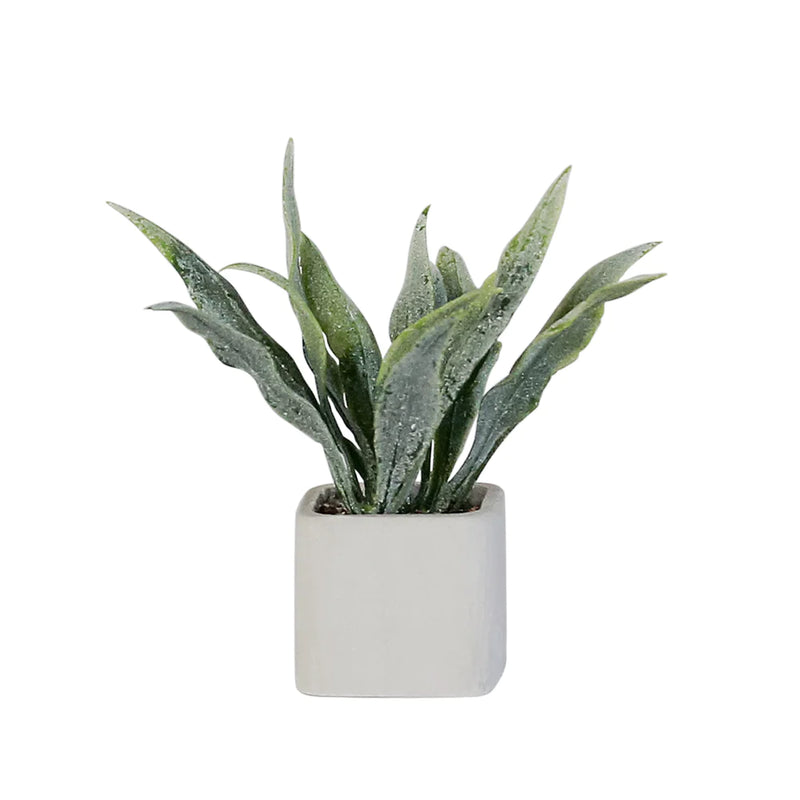 Aizulhomey Mini Plant Sansevieria Dollhouse Miniature